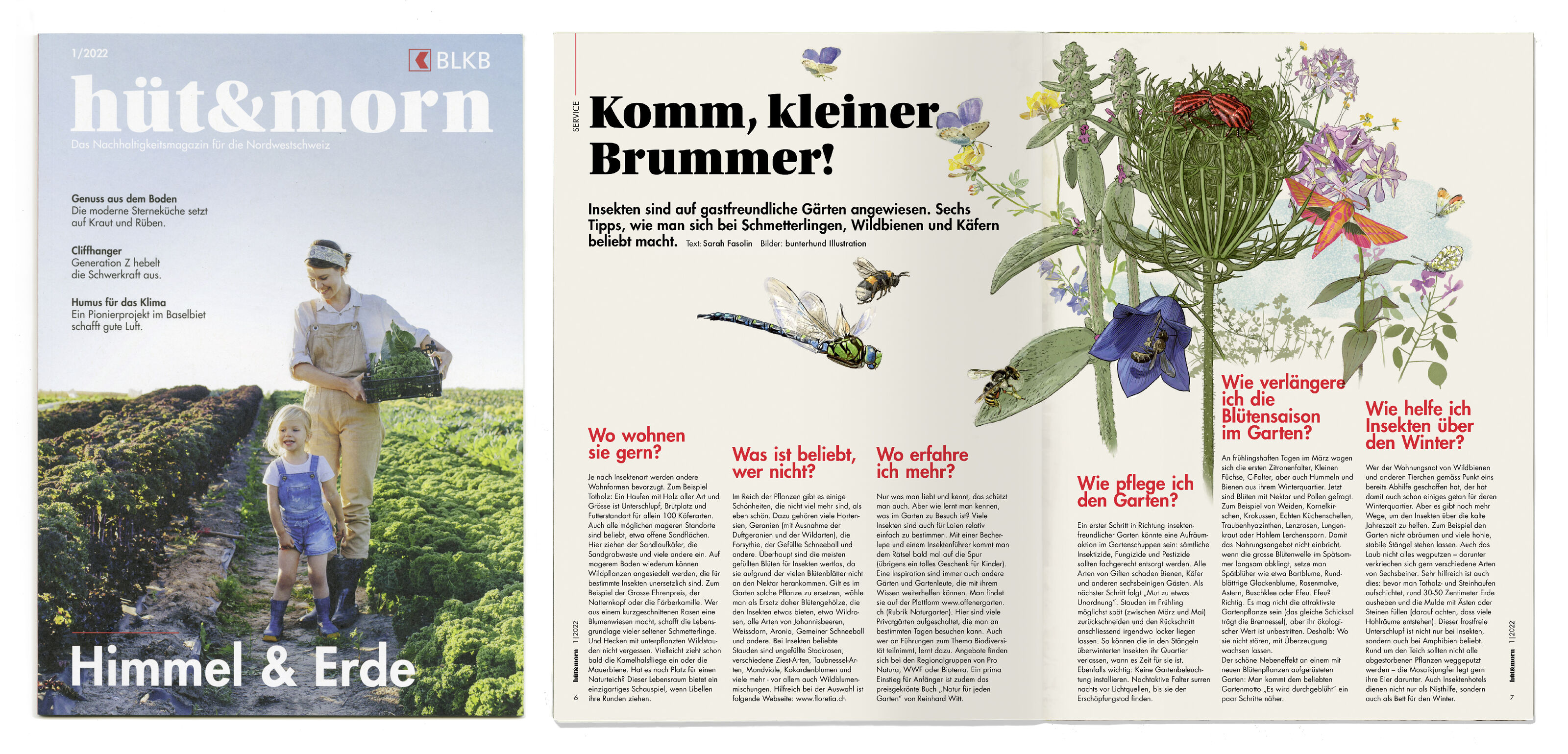 BLKB_Naturgarten_Biodiversitaet-Garten-BLKB-Magazin-htmorn_bunterhund-Illustration_2