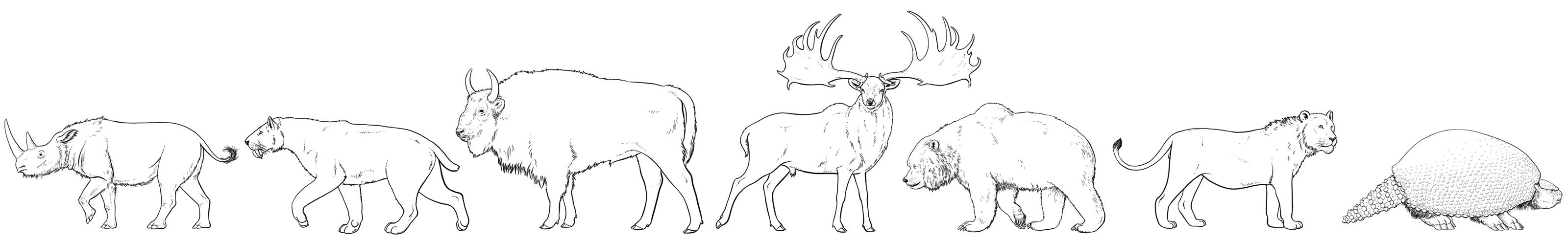 Naturhistorisches-Museum-Wien_Eiszeit-Tiere_bunterhund_Illustration