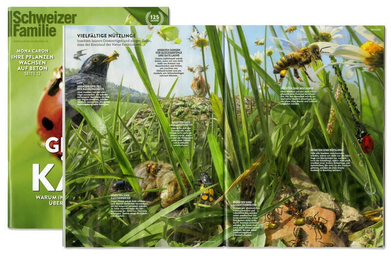 Insektensterben_Schweizerfamilie_Infografik_Biene_Insekten_Vgel_Biodiversitt_bunterhund-Illustration