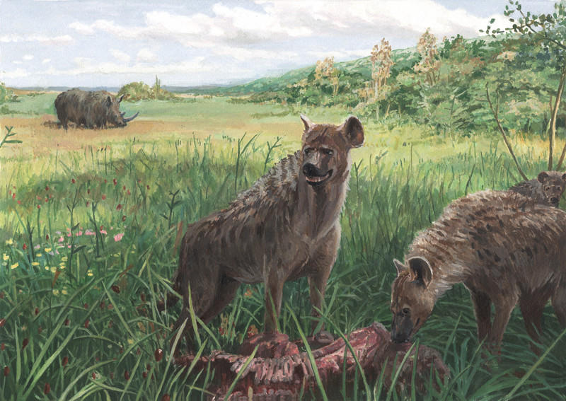 Mammutmuseum-Niederweningen_Wollnashorn_Hyaene_bunterhund-Illustration