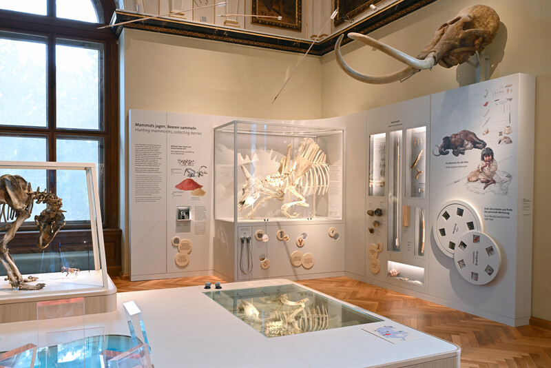 Naturhistorische-Museum-Wien_Saal_16_EIszeit_Graphiks_Tafeln_Chloe_Potter_044