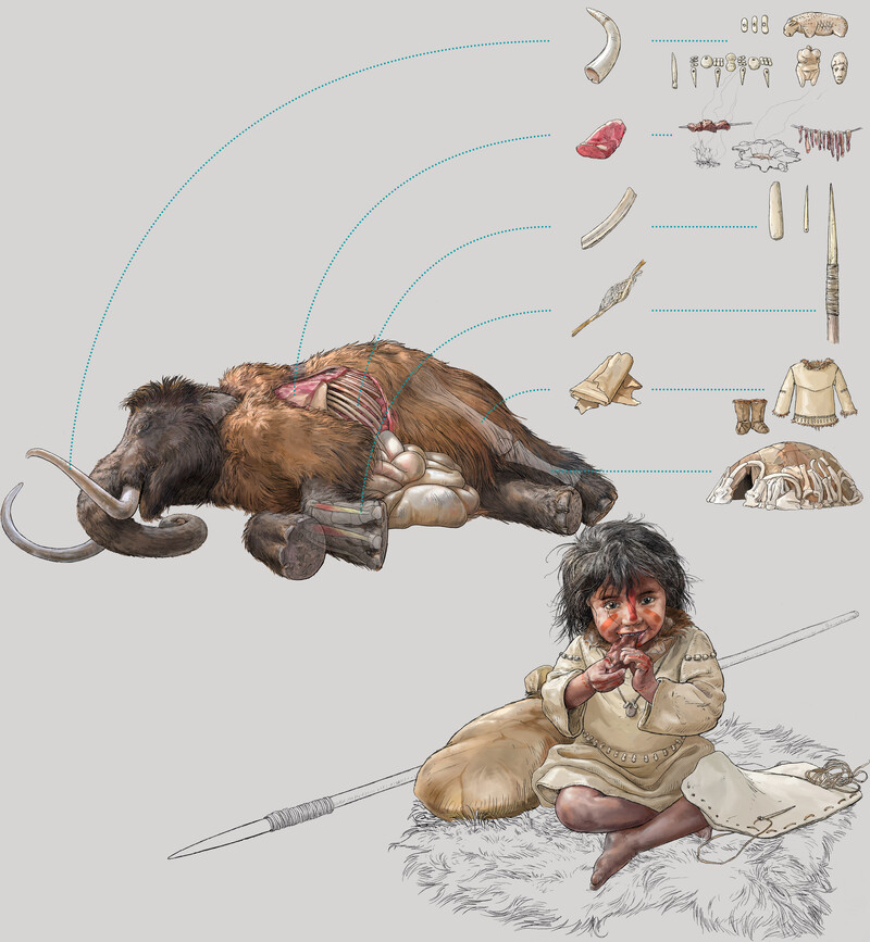 Naturhistorische-Museum-Wien_Steinzeit_Illu_Tier-als-Ressource1_einzeln_bunterhund-Illustration
