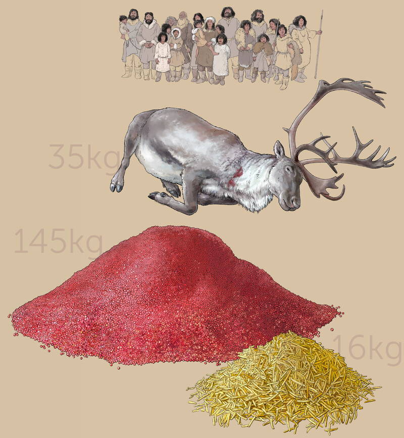 Naturhistorisches-Museum-Wien_Eiszeit1_Illu_Essen_Vergleich_alle_bunterhund-Illustration