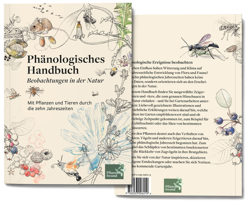 Pflanzenfreund_Phaenologisches-Handbuch_Titel_botansiche-Illustration_bunterhund-Illustration_1